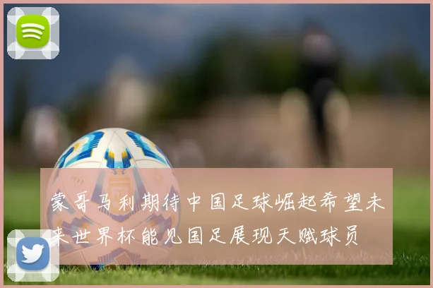 蒙哥马利期待中国足球崛起希望未来世界杯能见国足展现天赋球员