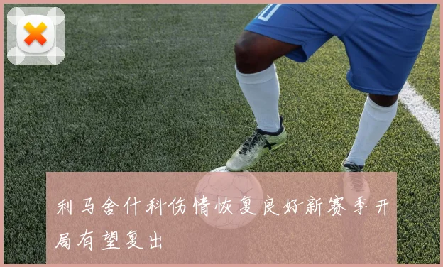 利马舍什科伤情恢复良好新赛季开局有望复出