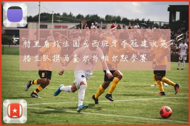 特里看好法国或西班牙夺冠建议英格兰队携马奎尔与帕尔默参赛